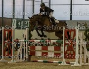 Novella del Castegno TosTour2013- S5 3225 : Arezzo, Arezzo Equestrian Centre, Cavalli d'Italia, Novella del Castegno, Toscana Tour 2013, foto di Stefano Secchi ©